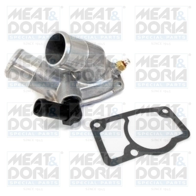 Thermostat, coolant